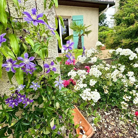 T3 Cosy Piscine, Spa, Parking Apartment